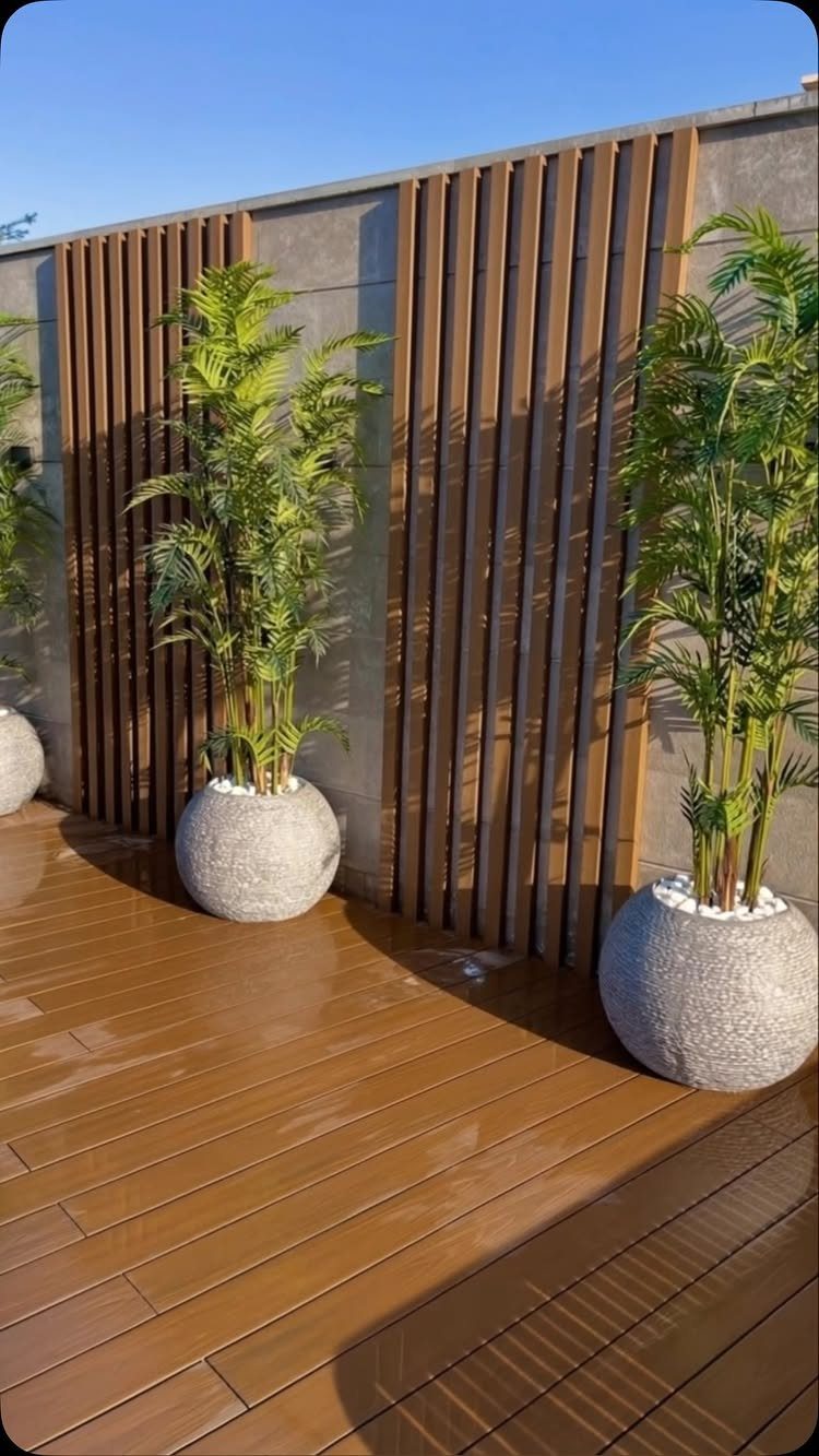 Large spherical stone planters with tall green palm plants on a brown wooden deck.