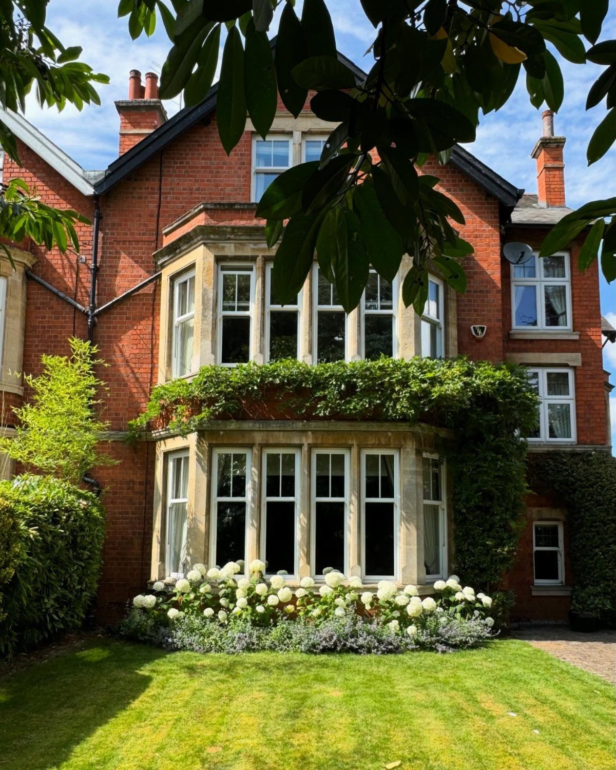 White hydrangeas and green plants grow in a layered flower bed beneath a large bay window.