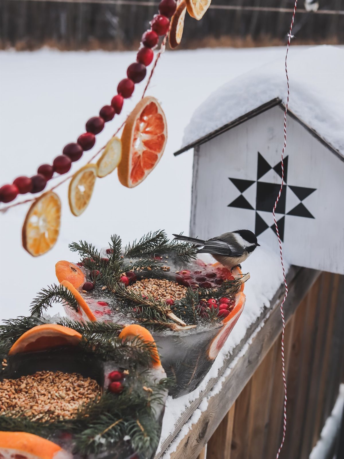 Cozy Winter Garden Ideas: 8 Ways to Warm Cold Months 7 A small bird perches on a festive, seed-filled bird feeder decorated with citrus and evergreens.