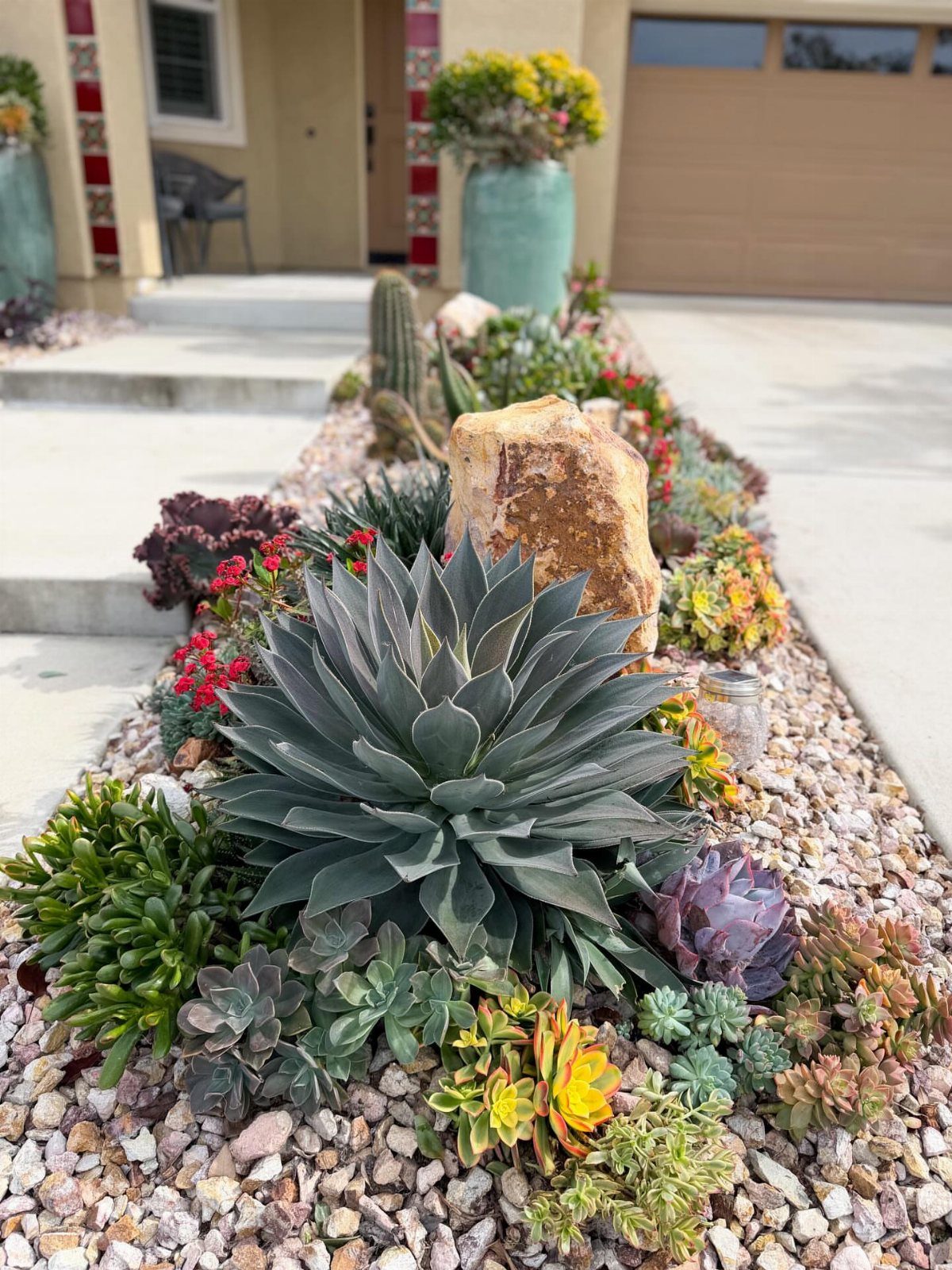 Succulent garden bed with various cacti and stones set in light gravel.
