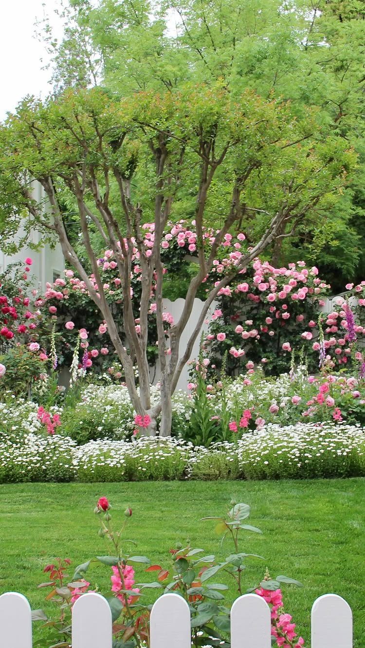 Pink roses climbing a tree and blooming in a lush garden with white flowers.