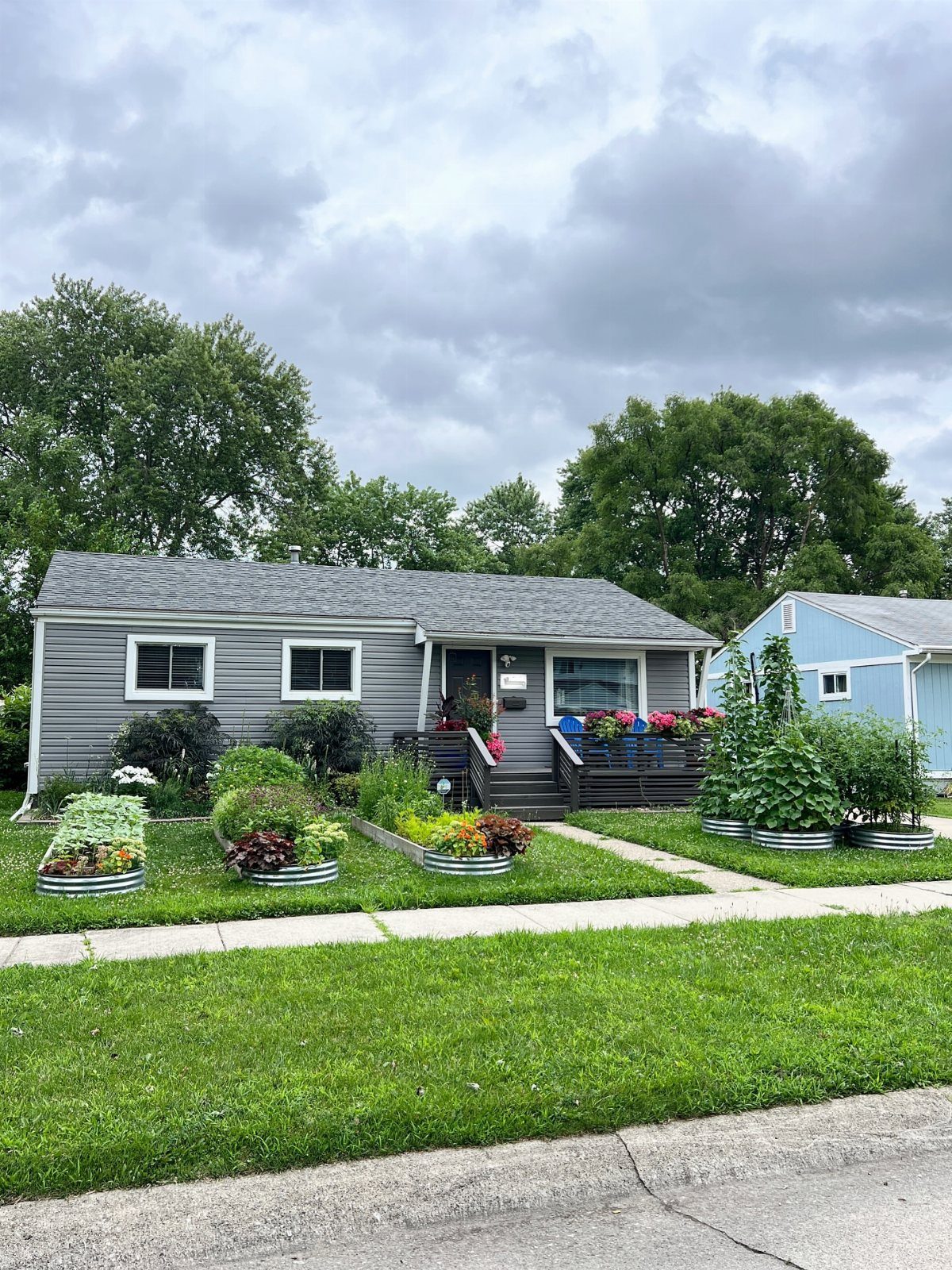 Raised metal garden beds with green plants and flowers in a front yard of a grey house.
