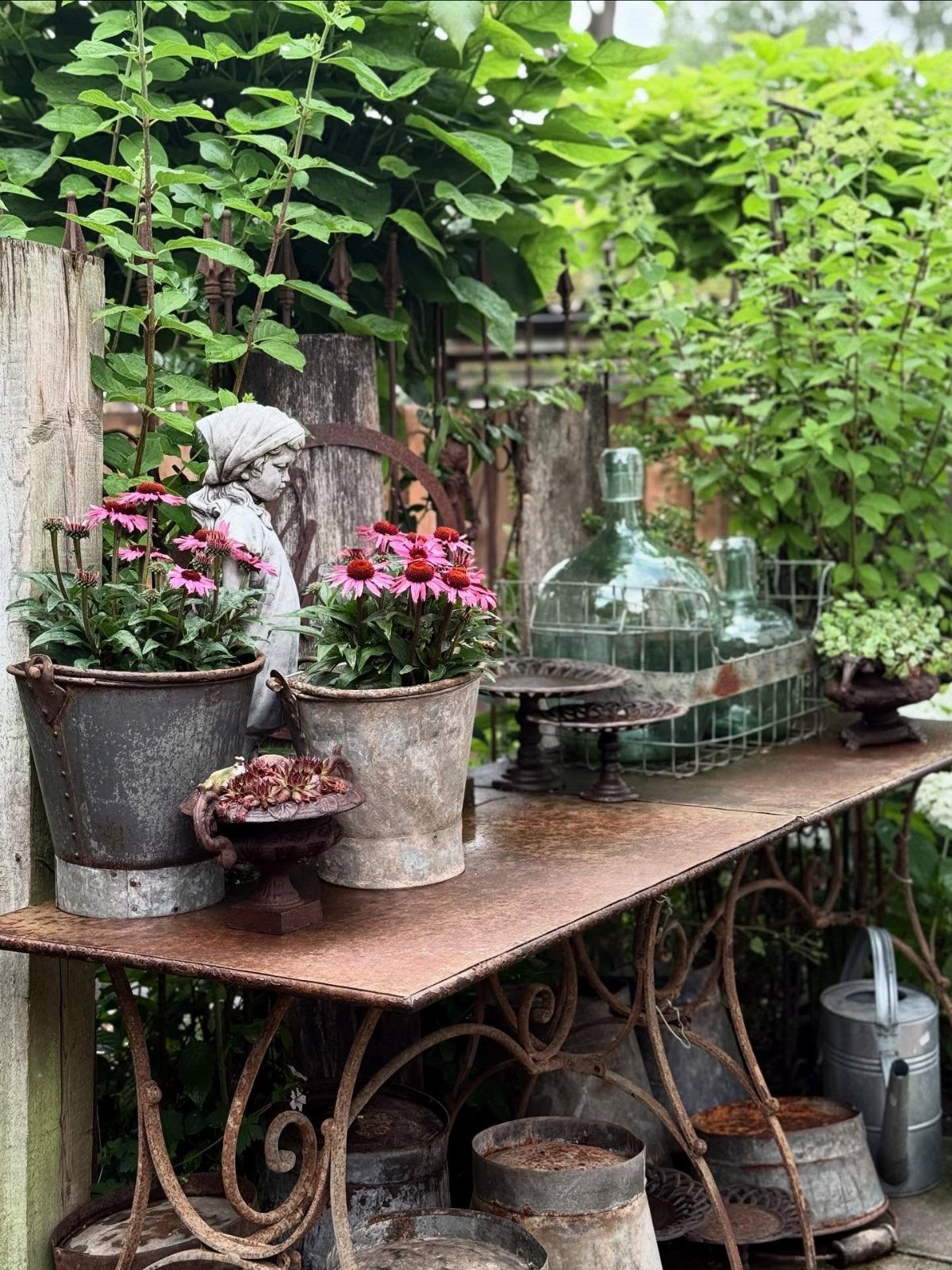 Weathered metal buckets filled with pink coneflowers sit on a rustic garden table surrounded by greenery.