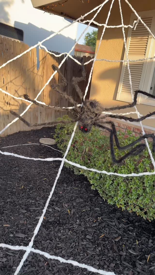 5 Goth Halloween Decor Ideas for a Properly Dark Holiday 5 A large black fuzzy spider with red eyes resting on a white rope web outdoors.