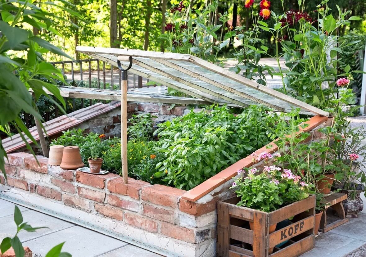 9 Greenhouse Garden Ideas for Every Size and Budget 7 A brick cold frame greenhouse with a glass lid open, revealing growing green plants.