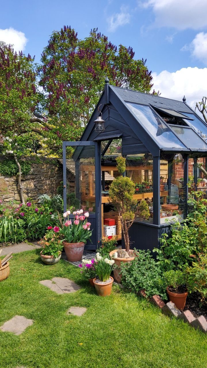 9 Greenhouse Garden Ideas for Every Size and Budget 3 A dark grey wooden greenhouse surrounded by colorful potted flowers and lush green garden plants.