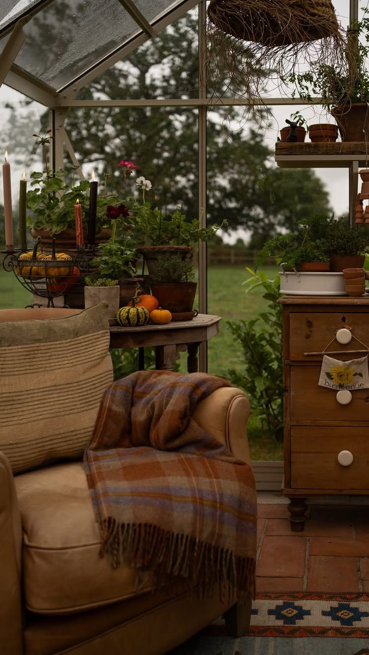 9 Greenhouse Garden Ideas for Every Size and Budget 8 A cozy armchair with a plaid blanket sits inside a glass greenhouse filled with plants.