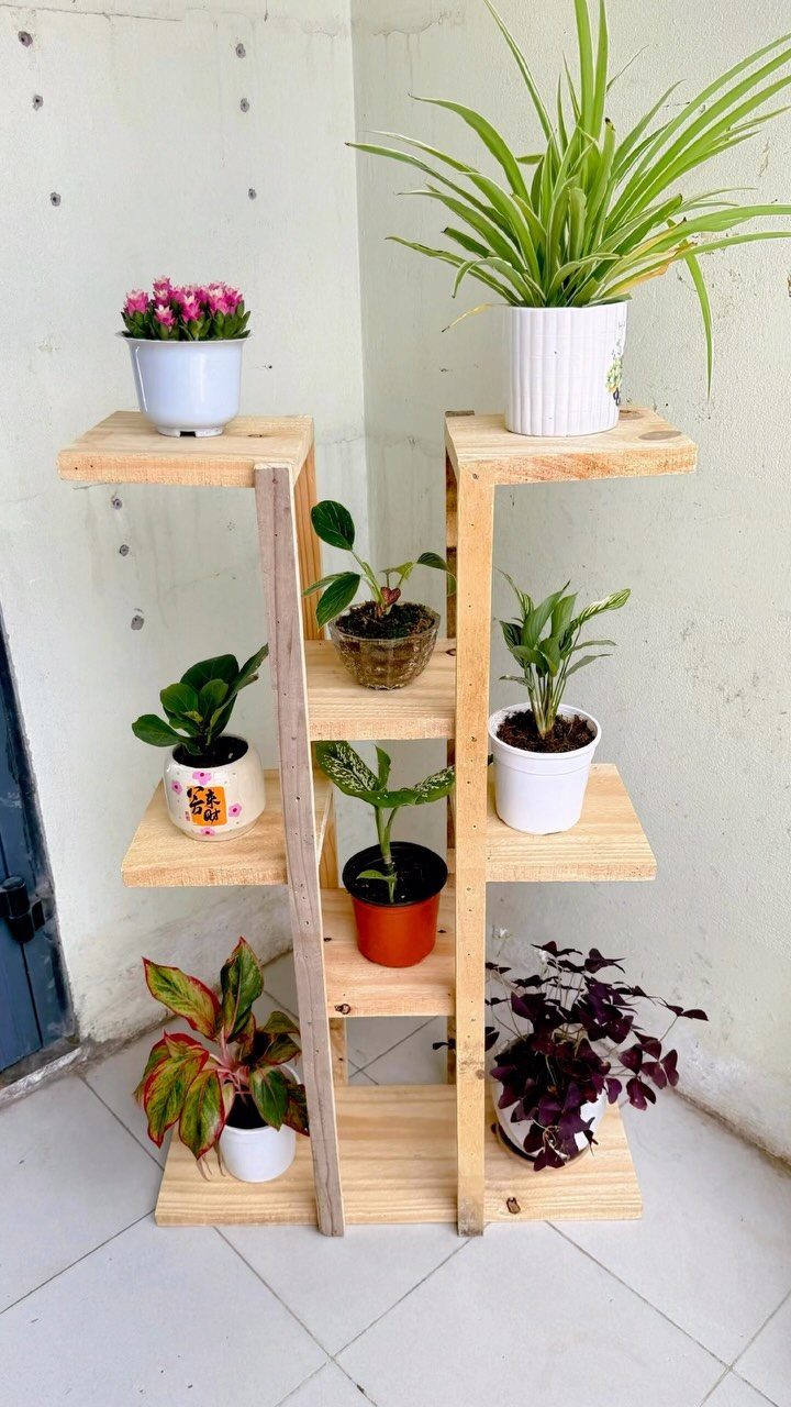 A wooden frame plant stand with multiple shelves holding various potted plants against a white wall.