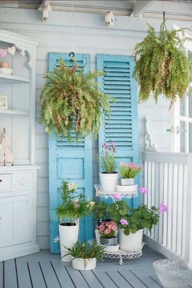 Weathered blue window shutters used as a decorative backdrop for various potted plants on a porch.
