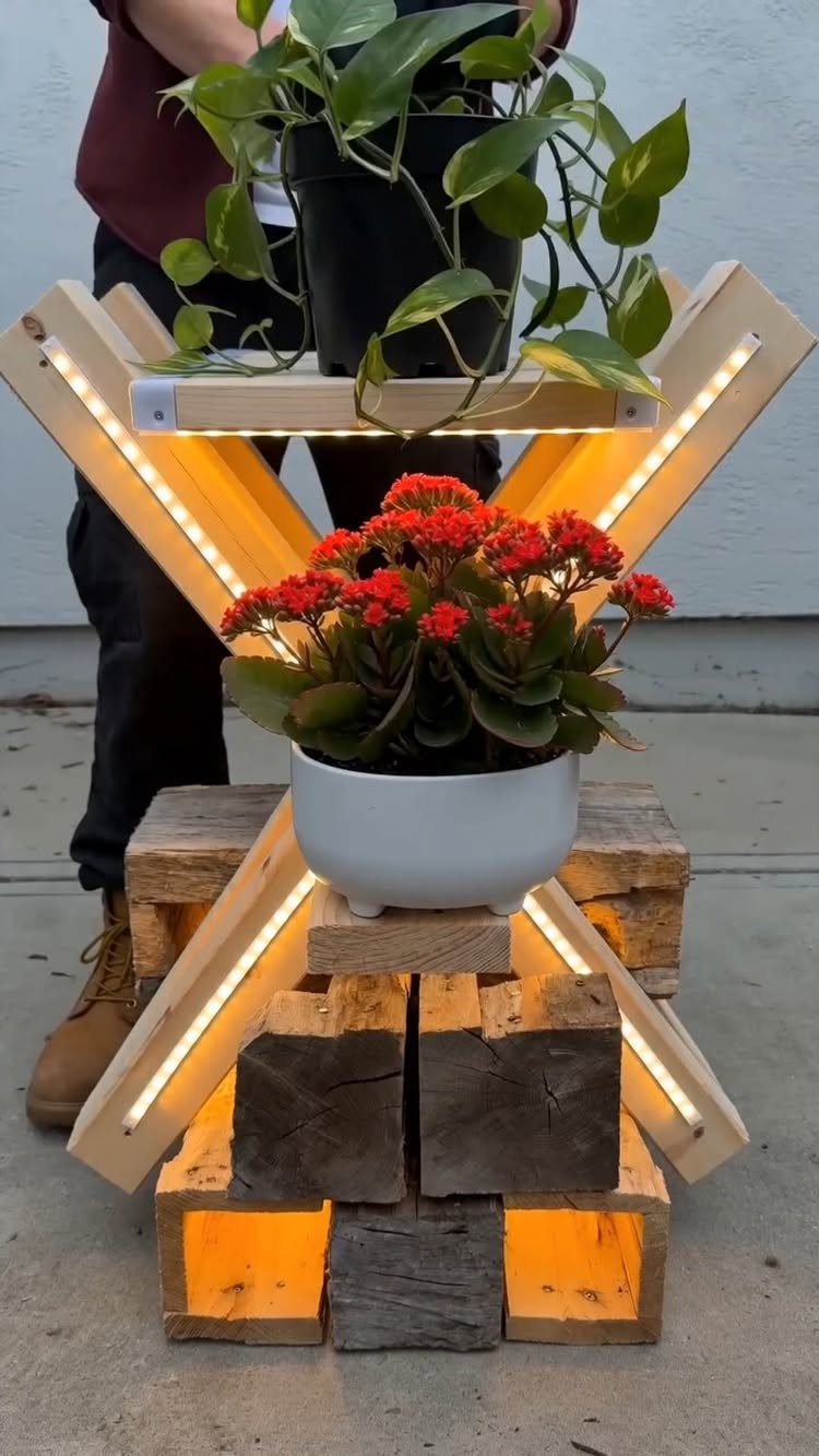 A wooden X-shaped tiered plant stand with LED lights holding green and red plants.