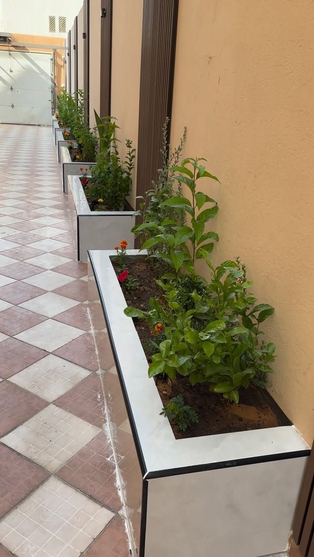 White rectangular modular planters with green plants lined up along a tan wall and tiled walkway.