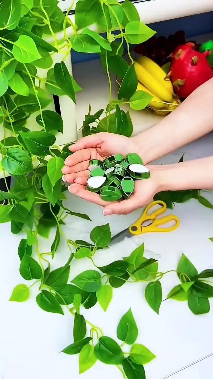 Hands holding several small green and white circular plant clips on a white surface.