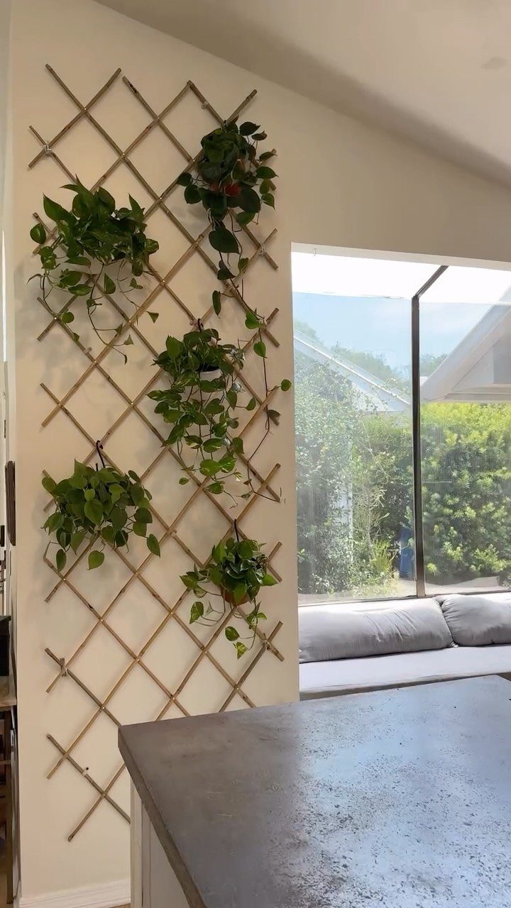 Green plants in small pots mounted on a wooden diamond trellis against a white wall.