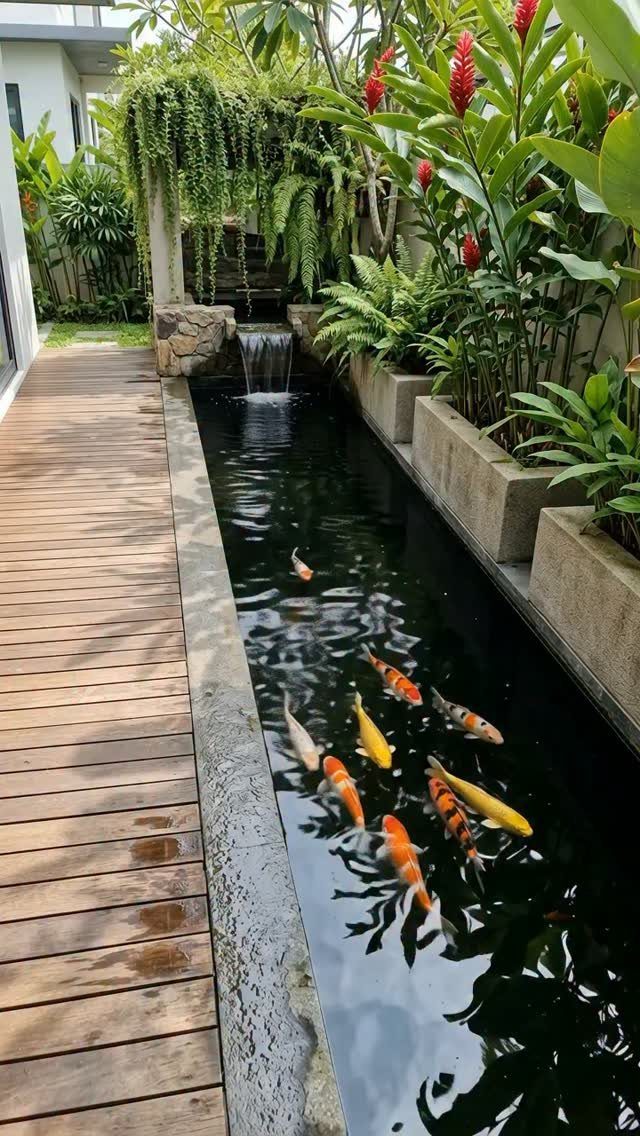 28 Outdoor Wooden Deck Ideas for Any Yard Size 8 A narrow koi pond with colorful fish and a small waterfall next to a wooden walkway.