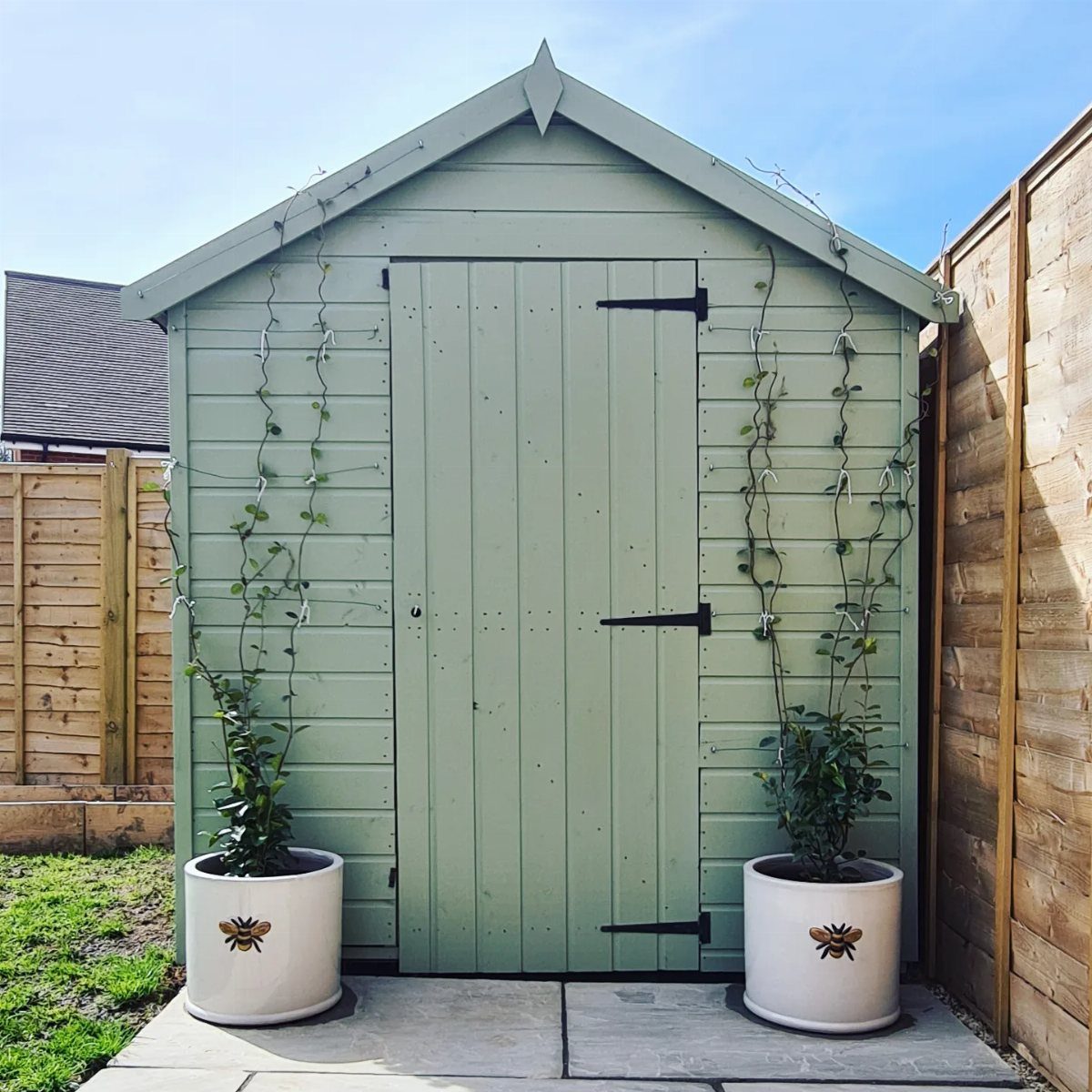 10 Shed Colors Ideas to Paint Your Backyard Storage 3 A sage green wooden garden shed flanked by two white planters with climbing green plants.