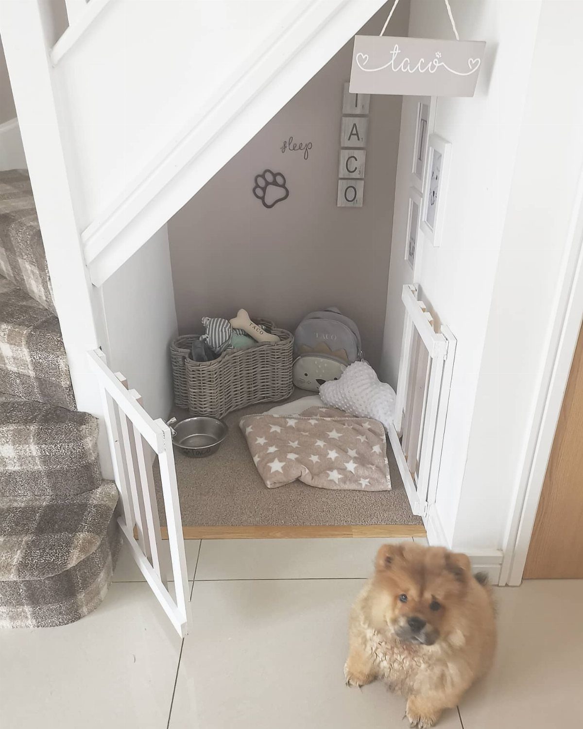 18 Under Stair Storage Design Modern Ideas for Every Home 13 A small dog sits in front of a cozy pet nook built under white stairs.