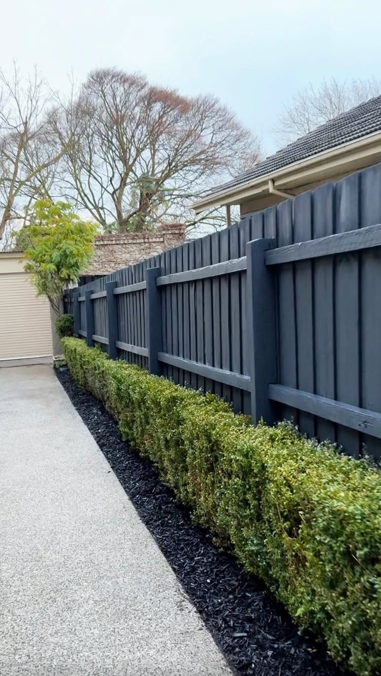 A manicured green hedge sits in a garden bed covered with thick black mulch next to a fence.