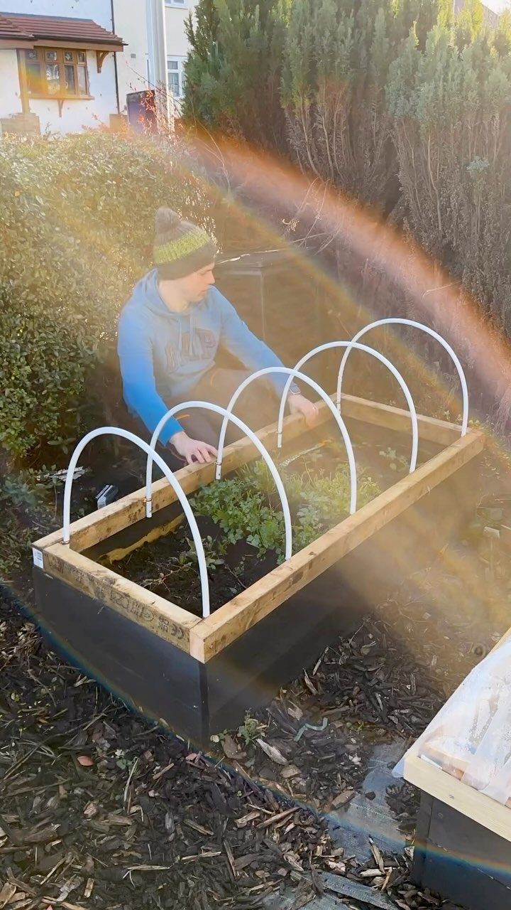 A person tending to a raised garden bed with white protective hoops over green plants.