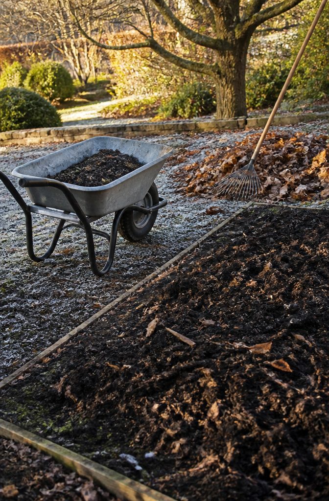 A wheelbarrow next to a compost-filled garden bed with autumn leaves.