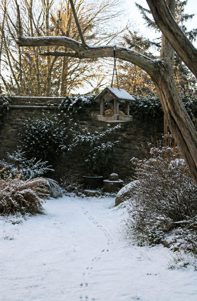 A filled bird feeder in a winter garden for feeding birds.