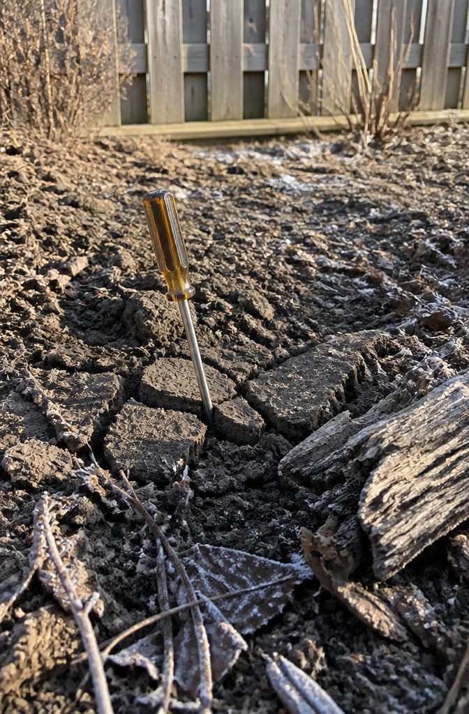 Winter Garden No Snow: Protecting Plants Through Cold, Dry Months 8 A screwdriver pushed into cracked dry soil.