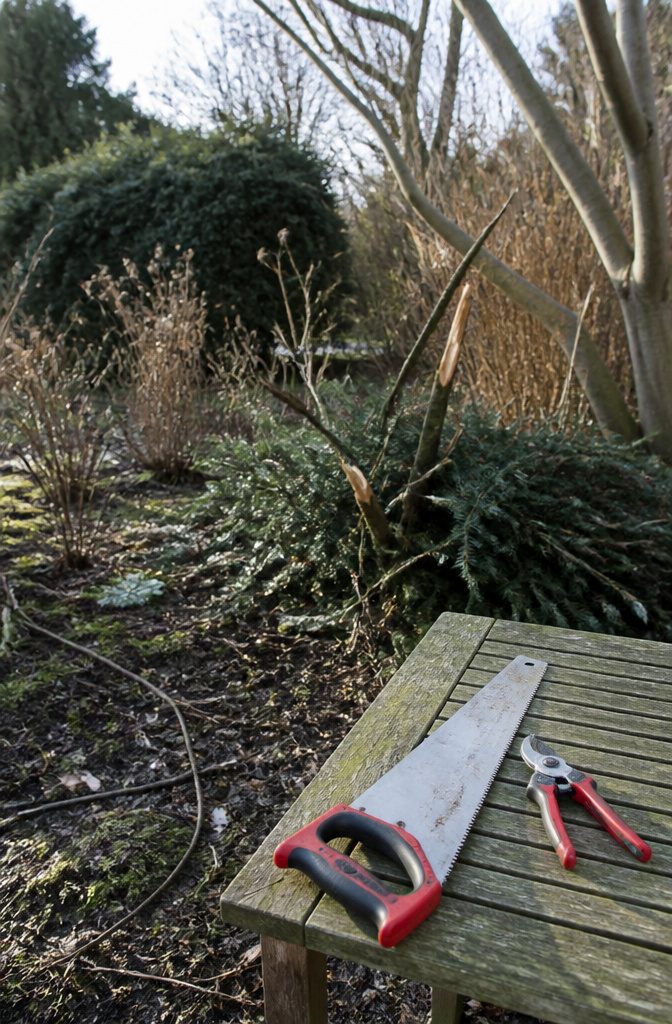 Winter Garden No Snow: Protecting Plants Through Cold, Dry Months 7 Pruning tools placed on a wooden table outdoors.