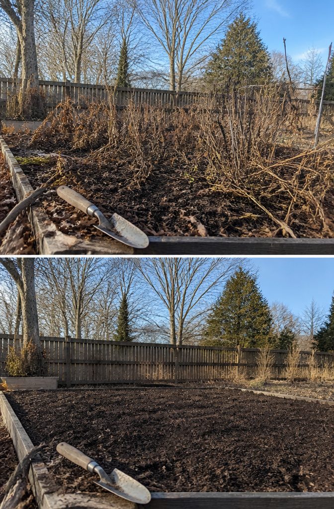 A photograph showing dead stems and faded foliage in a garden.