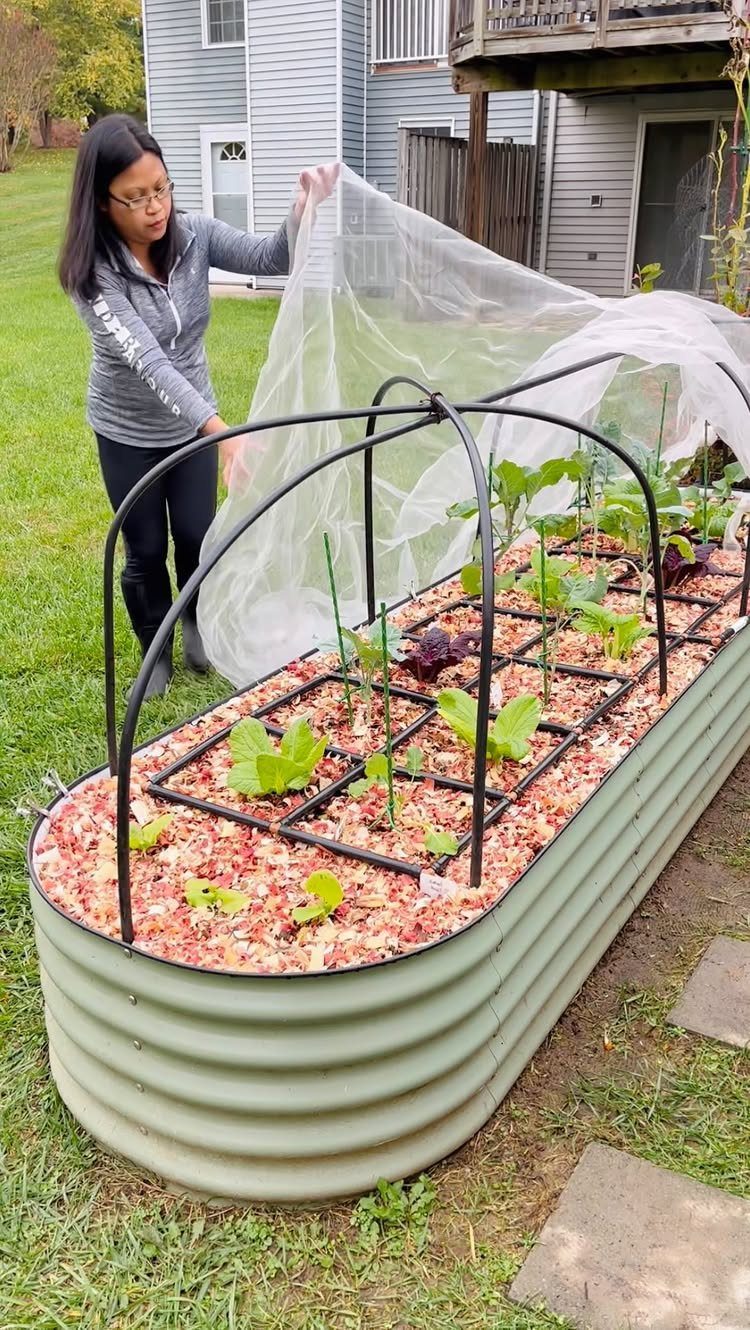 7 Winter Garden Room Ideas: Plants, Protection and Whimsy 3 A woman lifting a white protective mesh net over plants in a raised garden bed.