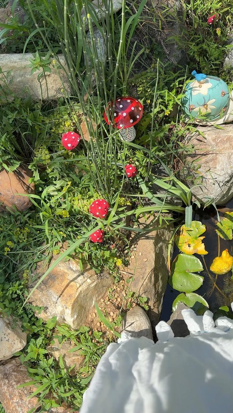 7 Winter Garden Room Ideas: Plants, Protection and Whimsy 7 Red and white polka-dotted mushroom decorations nestled among green garden plants and rocks.