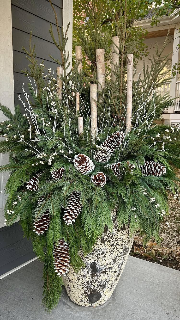 Evergreen branches with pinecones and birch sticks arranged in a large stone planter.